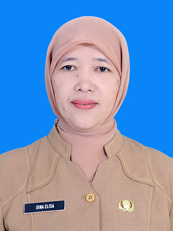 Dina Elisa, S.Psi